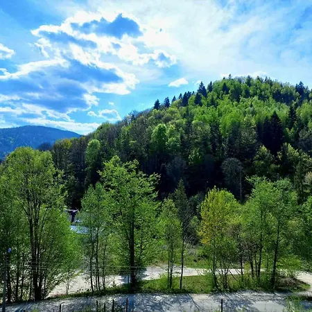 בית נופש близнята