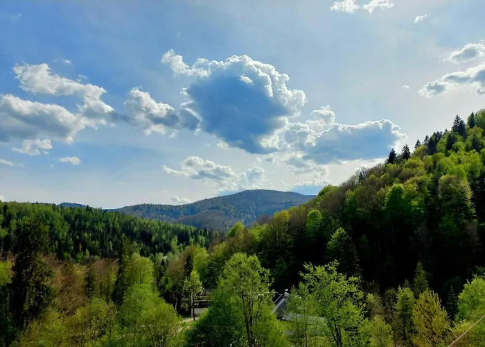 близнята * Яремча